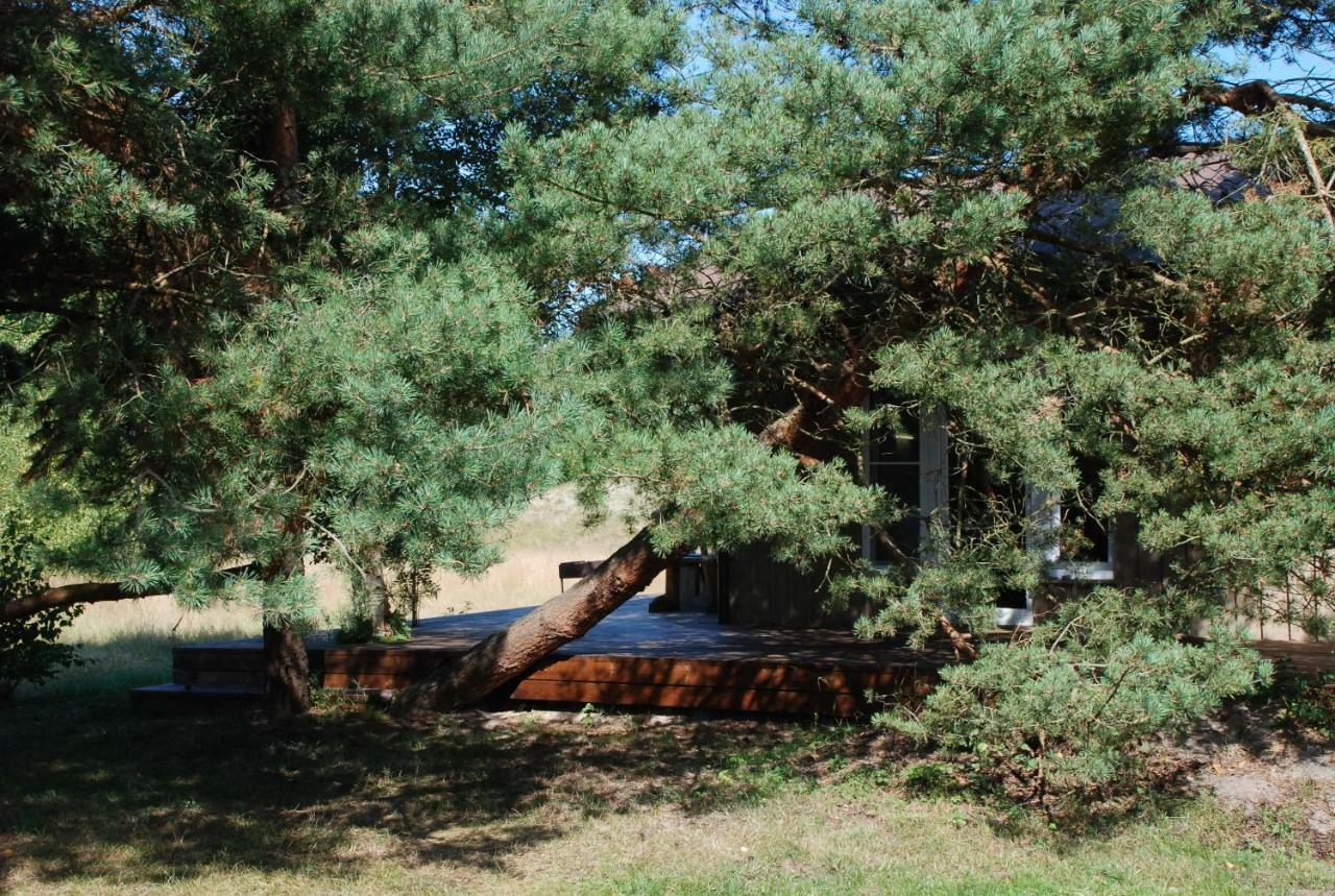 Pape Rogas Villa Eksteriør bilde
